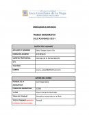 Gente decente y contaminada en Internet frente a los desastres naturales