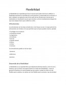 Ensayo sobre la flexibilidad