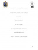 QUIMICA ORGANICA II PRACTICA NUMERO I