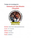 Vida silvestre chuchini