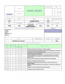 Liquidos Penetrantes - Work Order
