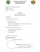 INFORME N. 5 MEDICIONES MICROSCOPICAS