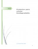 Planteamiento de por qué piensas hacer las fundas