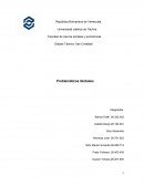 Problemáticas Globales