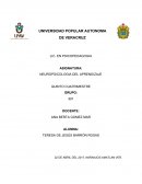 Practica kinesiologia