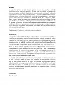 Ensayos a la yama Resumen