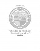 Identificación y purificación de proteínas