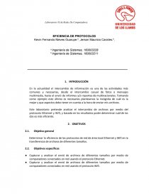 EFICIENCIA DE PROTOCOLOS. Página 1