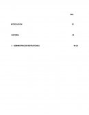 Analisis de la empresa Pro Bags SAC