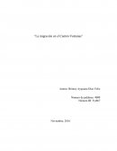 TEMA DE LA MIGRACION EN EL CANTON VENTANAS