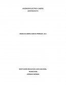 ANTEPROYECTO ASCENSOR ELECTRICO CASERO