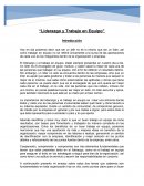 Como se da el Liderazgo y Trabajo en Equipo