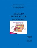 Monografia El aparato reproductor masculino
