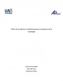 Enfoques de la sociologia