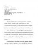DESARROLLO SUSTENTABLE,Inseguridad alimentaria, social, política, jurídica, económica