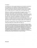 El colesterol resumen