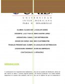 CANALES DE DISTRIBUCION - EJEMPLOS