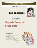Las bacterias Biología