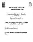 Importancia Económica y Jurídica de los Títulos de Crédito