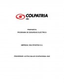 PROPUESTA PROGRAMA DE SEGURIDAD ELÉCTRICA