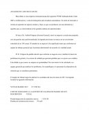 ANALISIS DE CASO BLUE-MATIC.