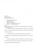 CAPITULO I PLAN DE TRABAJO SNACK DE YUCA Y PITUCA