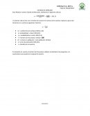 PLANTILLA PARA ESTUDIO DE MERCADO