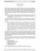 Grupos sociales Tribus urbanas