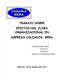 EFECTOS DEL CLIMA ORGANIZACIONAL EN EMPRESA CALZADOS BEBA. Página 1