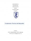 Reglas actualizadas del voleivol