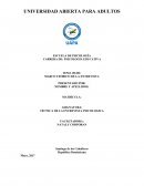 Ejemplo de un Marco teorico de la tecnica de la entrevista