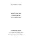 TALLER MICROESTRUCTURA