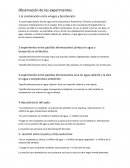 Observacion de los experimentos