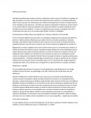 Política para amador ensayo