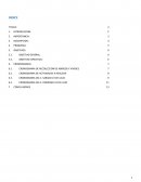 Proyecto social, cronograma