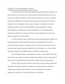 Actividad El sector agroalimentario en México