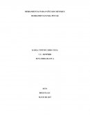 HERRAMIENTAS PARA PAÑETAR O REVOQUE