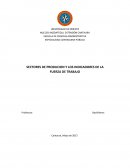 Sectores tecnicos de la produccion.