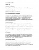 Tema VI.- Leoncio Ramos Capitulo XII. Fuentes del derecho penal