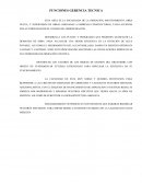 Funciones de gerencia tecnica