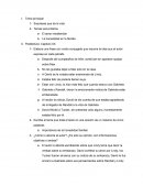 Sorpresas que da la vida Temas secundarios