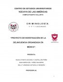 PROYECTO DE INVESTIGACIÓN DE LA DELINCUENCIA ORGANIZADA EN MÉXICO”