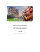 Ensayo sobre evaluación de desempeño.