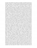 RESUMEN SOBRE LA CEGUERA.