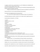 Derecho de Autor. Reglas Contrato