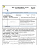 PLAN DE DESTREZAS CON CRITERIO DE DESEMPEÑO