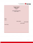 SEGUNDO INFORME DE DECISIONES: Etapa 2 - Producto