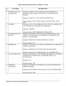 Plantilla factores claves en el mercado