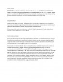 Analisis del caso de Sodimac