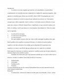 Immanuel kant lo bello y lo sublime